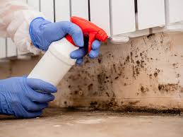 Best Real Estate Mold Inspection  in Geneva, IL